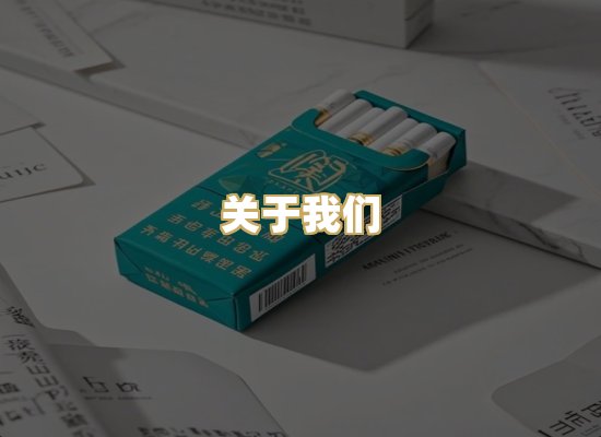 关于我们
